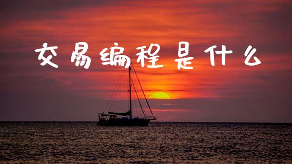 交易编程是什么_https://www.gongyisiwang.com_广发期货手续费_第1张