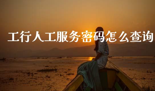工行人工服务密码怎么查询_https://www.gongyisiwang.com_股指期货_第1张