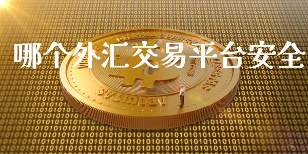 哪个外汇交易平台安全_https://www.gongyisiwang.com_原油期货_第1张