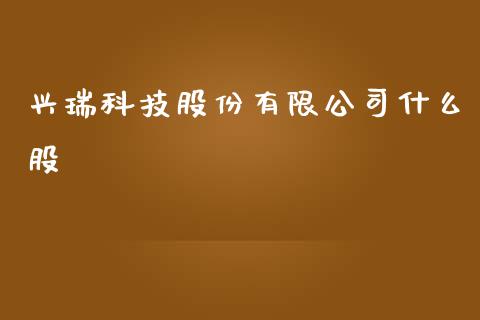 兴瑞科技股份有限公司什么股_https://www.gongyisiwang.com_道指_第1张