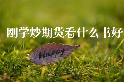 刚学炒期货看什么书好_https://www.gongyisiwang.com_道指_第1张