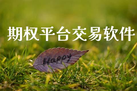 期权平台交易软件_https://www.gongyisiwang.com_恒指期货_第1张