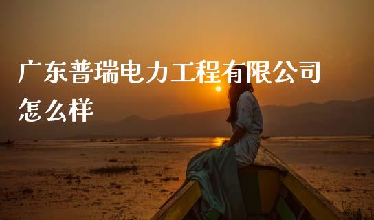 广东普瑞电力工程有限公司怎么样_https://www.gongyisiwang.com_焦炭期货手续费_第1张