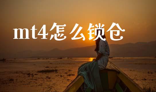 mt4怎么锁仓_https://www.gongyisiwang.com_广发期货手续费_第1张