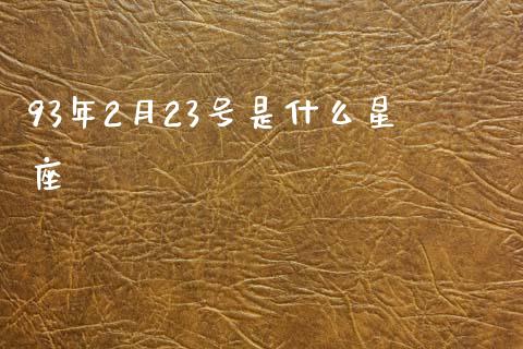 93年2月23号是什么星座_https://www.gongyisiwang.com_股指期货交易手续费_第1张