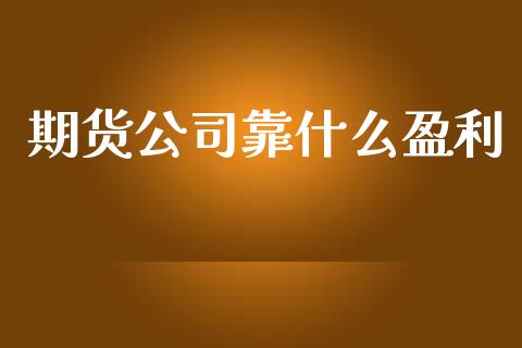 期货公司靠什么盈利_https://www.gongyisiwang.com_焦炭期货手续费_第1张
