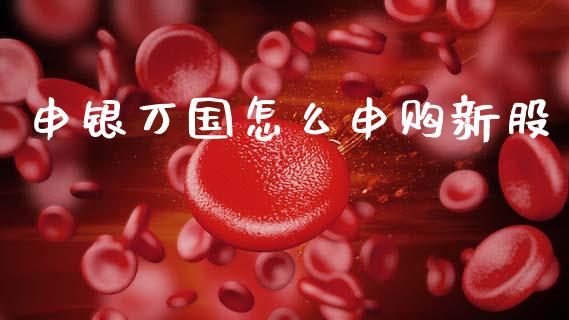 申银万国怎么申购新股_https://www.gongyisiwang.com_期货公司手续费排名_第1张