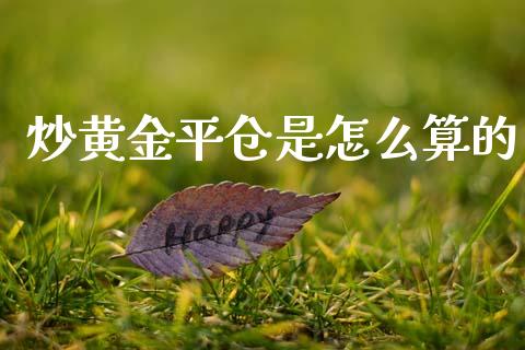 炒黄金平仓是怎么算的_https://www.gongyisiwang.com_原油期货_第1张