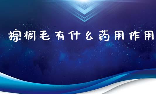 棕榈毛有什么药用作用_焦炭期货手续费_第1张_股指期货交易手续费_广发期货手续费_期货公司手续费排名_焦炭期货手续费 棕榈毛有什么药用作用_https://www.gongyisiwang.com_焦炭期货手续费_第1张