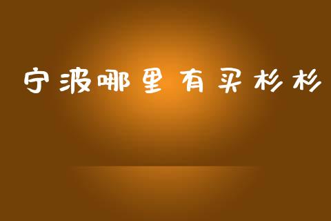 宁波哪里有买杉杉_https://www.gongyisiwang.com_焦炭期货手续费_第1张