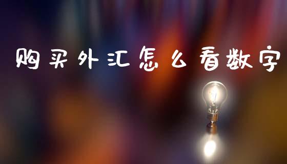 购买外汇怎么看数字_https://www.gongyisiwang.com_股指期货交易手续费_第1张