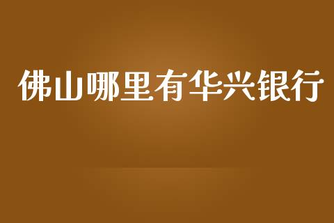 佛山哪里有华兴银行_https://www.gongyisiwang.com_原油期货_第1张
