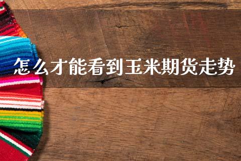 怎么才能看到玉米期货走势_https://www.gongyisiwang.com_焦炭期货手续费_第1张