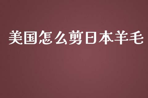美国怎么剪日本羊毛_https://www.gongyisiwang.com_期货公司手续费排名_第1张