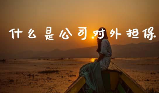 什么是公司对外担保_https://www.gongyisiwang.com_股指期货交易手续费_第1张