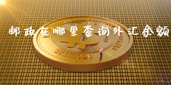 邮政在哪里查询外汇余额_https://www.gongyisiwang.com_道指_第1张