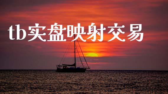 tb实盘映射交易_https://www.gongyisiwang.com_股指期货交易手续费_第1张