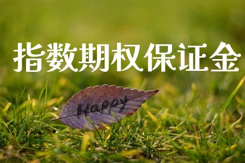 指数期权保证金_https://www.gongyisiwang.com_原油期货_第1张