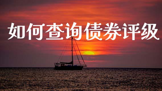 如何查询债券评级_https://www.gongyisiwang.com_原油期货_第1张