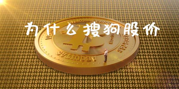 为什么搜狗股价_https://www.gongyisiwang.com_股指期货交易手续费_第1张