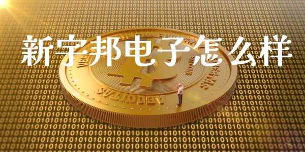新宇邦电子怎么样_https://www.gongyisiwang.com_原油期货_第1张