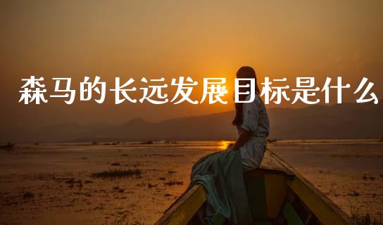 森马的长远发展目标是什么_https://www.gongyisiwang.com_期货公司手续费排名_第1张