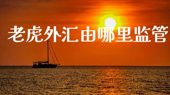 老虎外汇由哪里监管_https://www.gongyisiwang.com_期货公司手续费排名_第1张