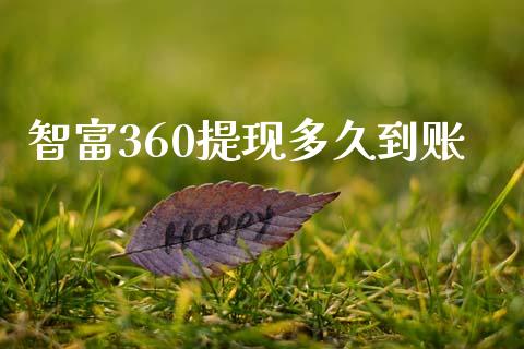 智富360提现多久到账_https://www.gongyisiwang.com_原油期货_第1张