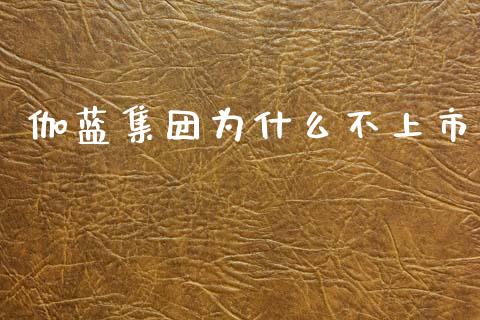 伽蓝集团为什么不上市_https://www.gongyisiwang.com_焦炭期货手续费_第1张