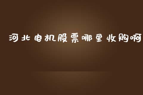 河北电机股票哪里收购啊_https://www.gongyisiwang.com_股指期货交易手续费_第1张