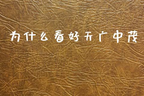 为什么看好天广中茂_https://www.gongyisiwang.com_股指期货交易手续费_第1张