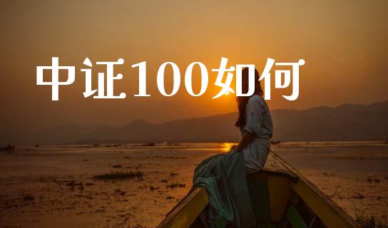中证100如何_https://www.gongyisiwang.com_股指期货_第1张
