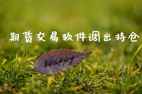 期货交易软件调出持仓_https://www.gongyisiwang.com_股指期货_第1张