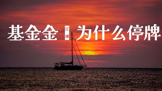 基金金鑫为什么停牌_https://www.gongyisiwang.com_股指期货_第1张