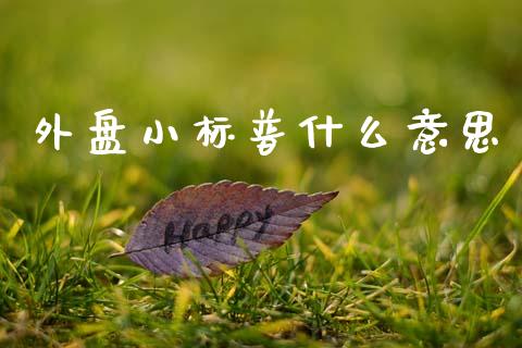 外盘小标普什么意思_https://www.gongyisiwang.com_焦炭期货手续费_第1张