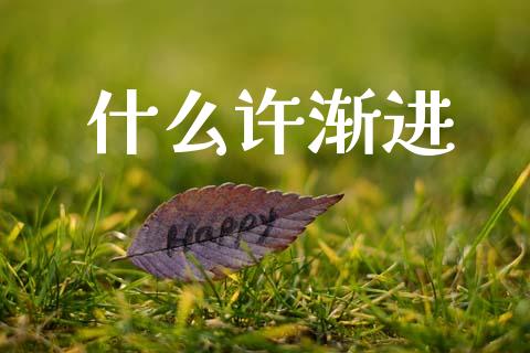 什么许渐进_https://www.gongyisiwang.com_期货公司手续费排名_第1张