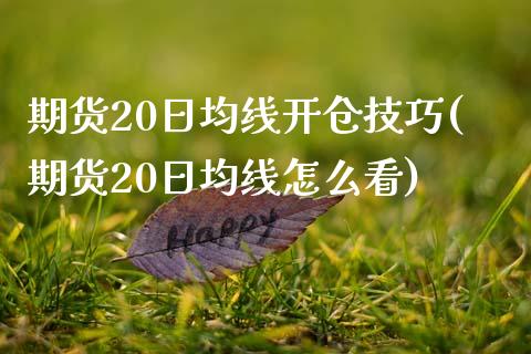 期货20日均线开仓技巧(期货20日均线怎么看)_https://www.gongyisiwang.com_股指期货交易手续费_第1张