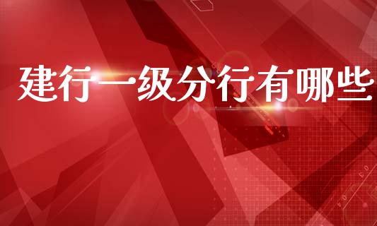 建行一级分行有哪些_https://www.gongyisiwang.com_股指期货交易手续费_第1张