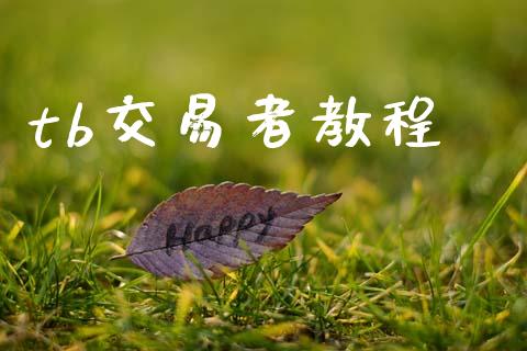 tb交易者教程_https://www.gongyisiwang.com_原油期货_第1张