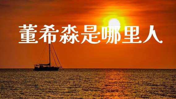 董希淼是哪里人_https://www.gongyisiwang.com_焦炭期货手续费_第1张