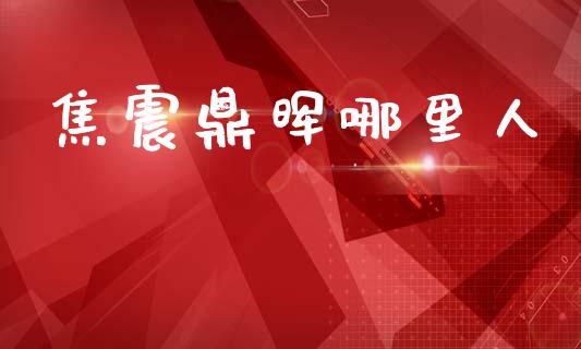 焦震鼎晖哪里人_https://www.gongyisiwang.com_道指_第1张