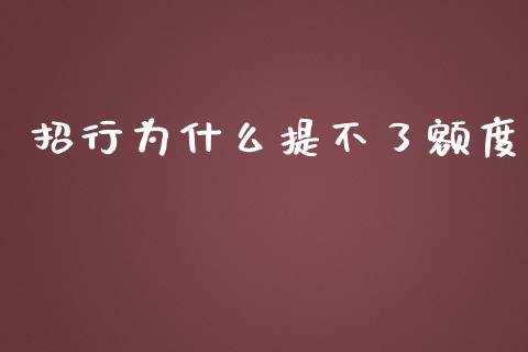 招行为什么提不了额度_https://www.gongyisiwang.com_焦炭期货手续费_第1张
