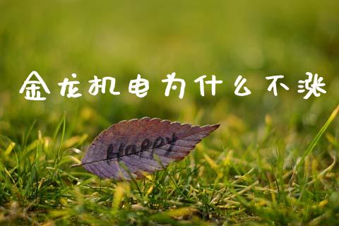 金龙机电为什么不涨_https://www.gongyisiwang.com_广发期货手续费_第1张