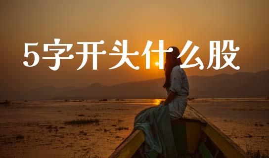 5字开头什么股_https://www.gongyisiwang.com_期货公司手续费排名_第1张