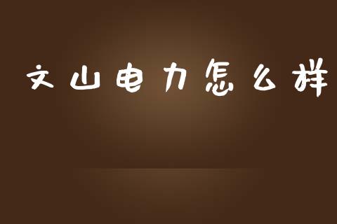 文山电力怎么样_https://www.gongyisiwang.com_股指期货_第1张