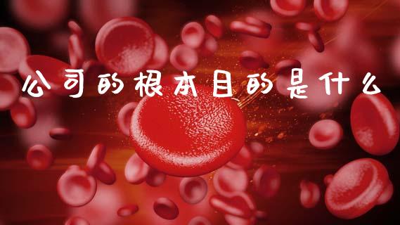 公司的根本目的是什么_https://www.gongyisiwang.com_恒指期货_第1张