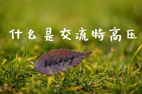 什么是交流特高压_https://www.gongyisiwang.com_原油期货_第1张