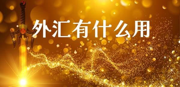 外汇有什么用_https://www.gongyisiwang.com_广发期货手续费_第1张