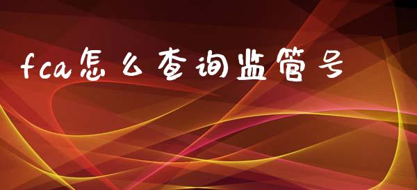 fca怎么查询监管号_https://www.gongyisiwang.com_股指期货交易手续费_第1张