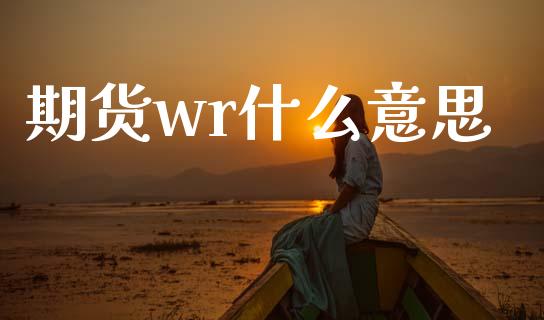 期货wr什么意思_https://www.gongyisiwang.com_道指_第1张
